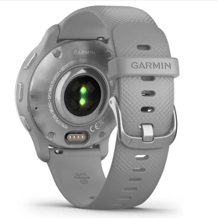 Умные часы Garmin Venu 2 Plus, серебристый/серый