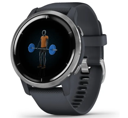 Умные часы Garmin Venu 2 Wi-Fi NFC, синий гранит