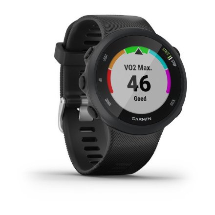 Часы Garmin Forerunner 45 -GPS, black