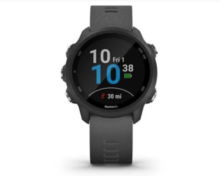 Беговые часы Garmin Forerunner 245 с GPS, серые