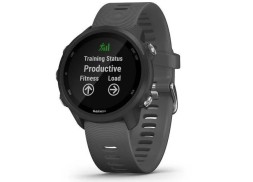 Беговые часы Garmin Forerunner 245 с GPS, серые