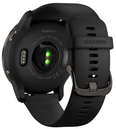 Умные часы Garmin Venu 2 GPS (черный сланец)
